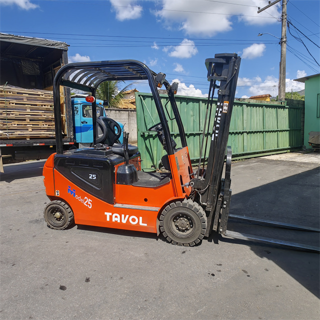 2.5T Electric Forklift Truck with 3M Lift Height 