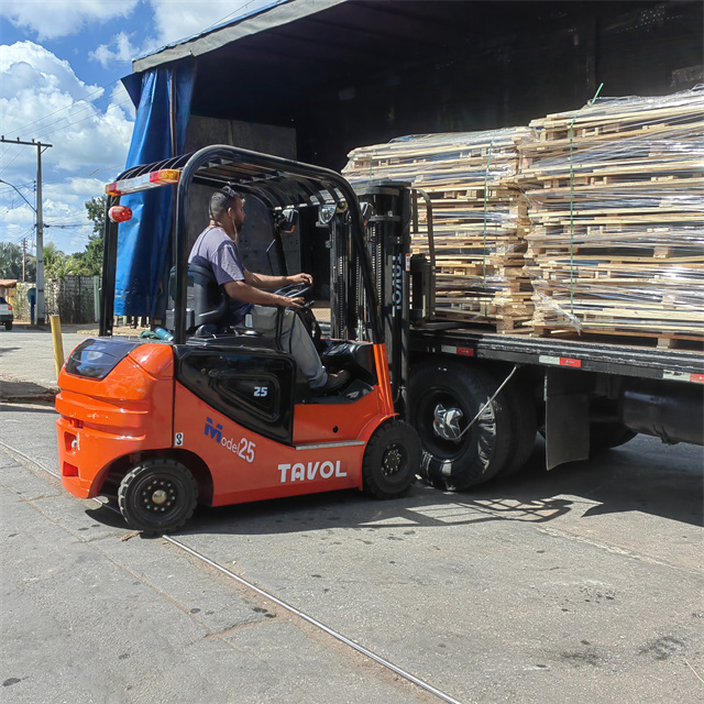 2.5T Electric Forklift Truck with 3M Lift Height 