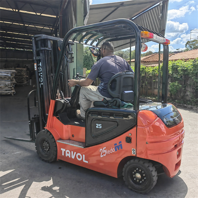 Fork Lift 2.5 Ton Lithium Electric Forklift Truck