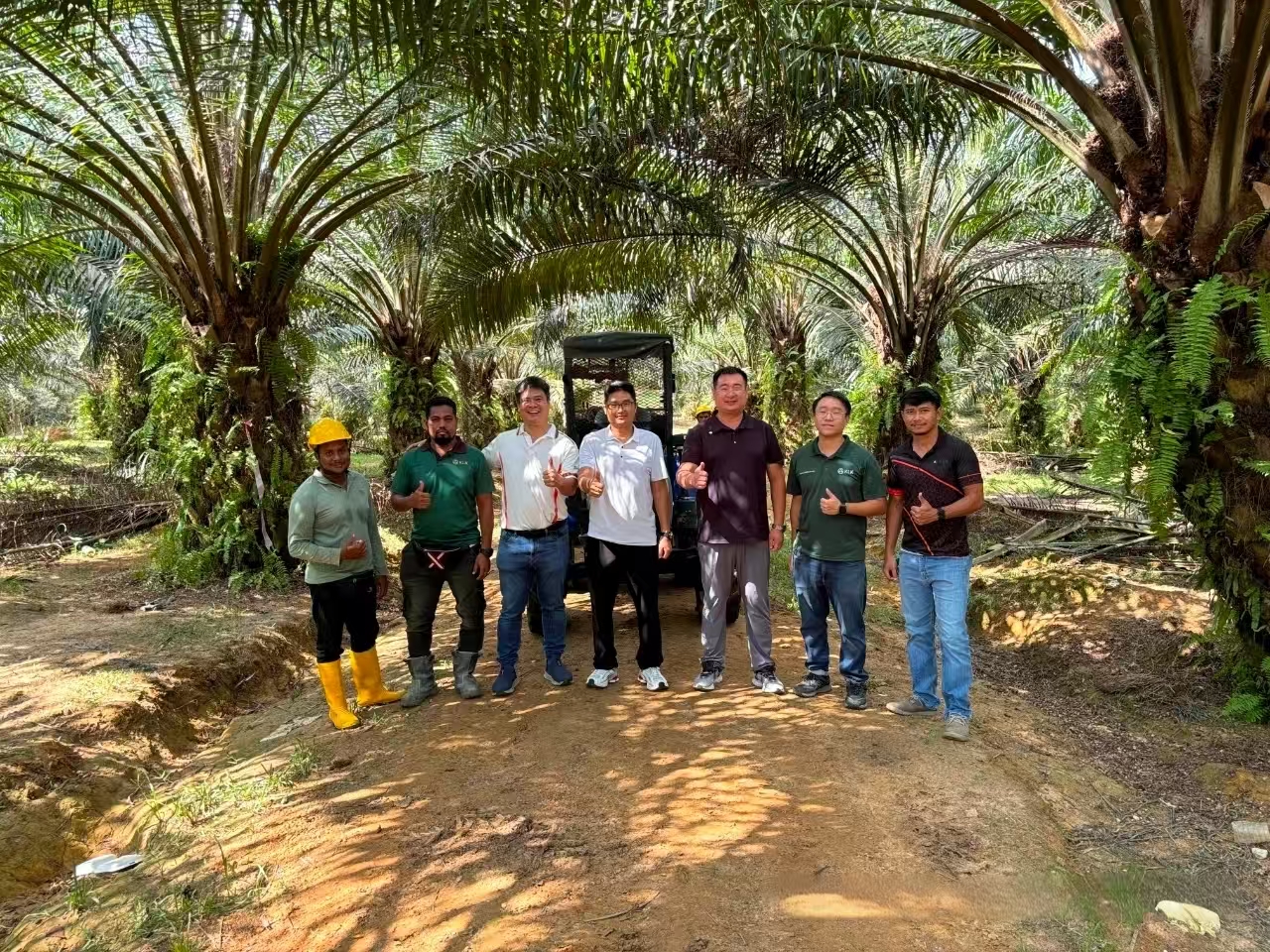 Tavol Tractors Are Deeply Rooted in The Malaysian Market, And Their Customized Solutions Are Recognized by Customers.