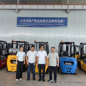 Tavol Forklift2.jpg